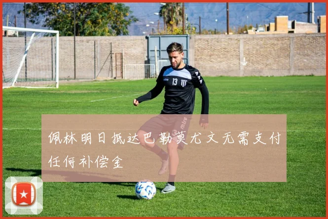 佩林明日抵达巴勒莫尤文无需支付任何补偿金